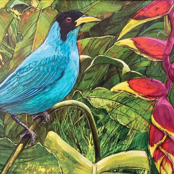 8x10" Cololmbia Cafe Quindio Art Print (w/mat): Green Honeyeater Bird - HOME - Picture 4 of 6